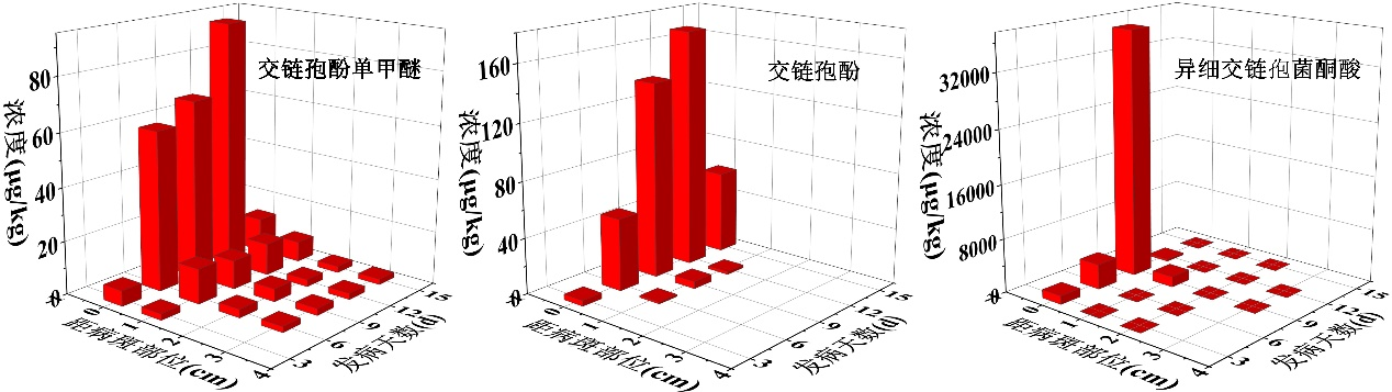 图片6.png 图片6.png